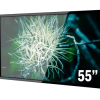 55 Inch Touch Screen TV Monitor Rental